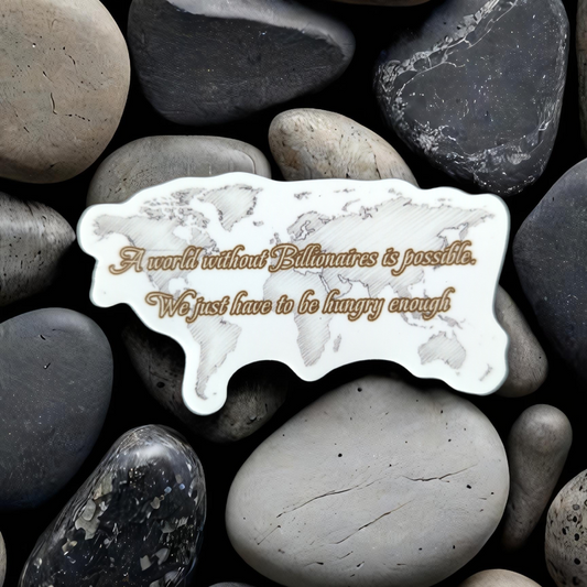 Imagine a World without Billionaires sticker