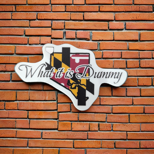 What it is Dummy(Baltimore) sticker